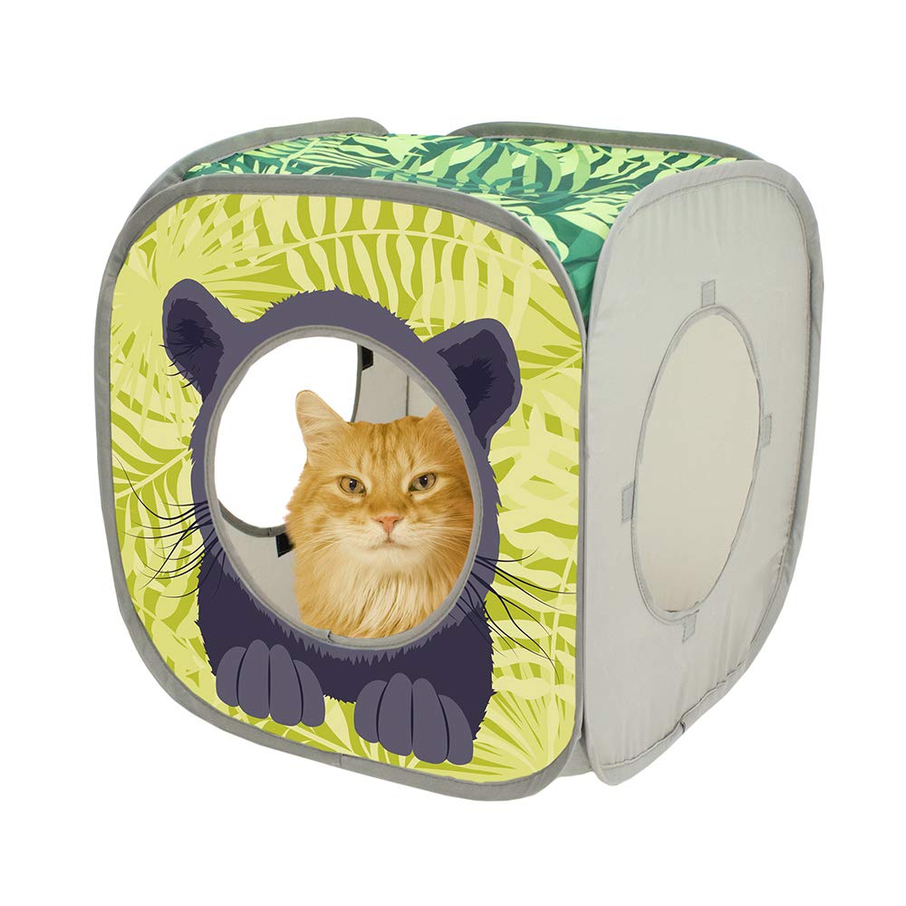 Kitty City Safari Jungle, ouverture cache-cache pour jeu interactif.