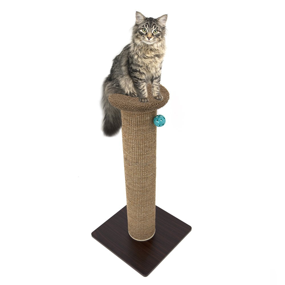 Kitty City protection des meubles grâce au poste à griffes en sisal.