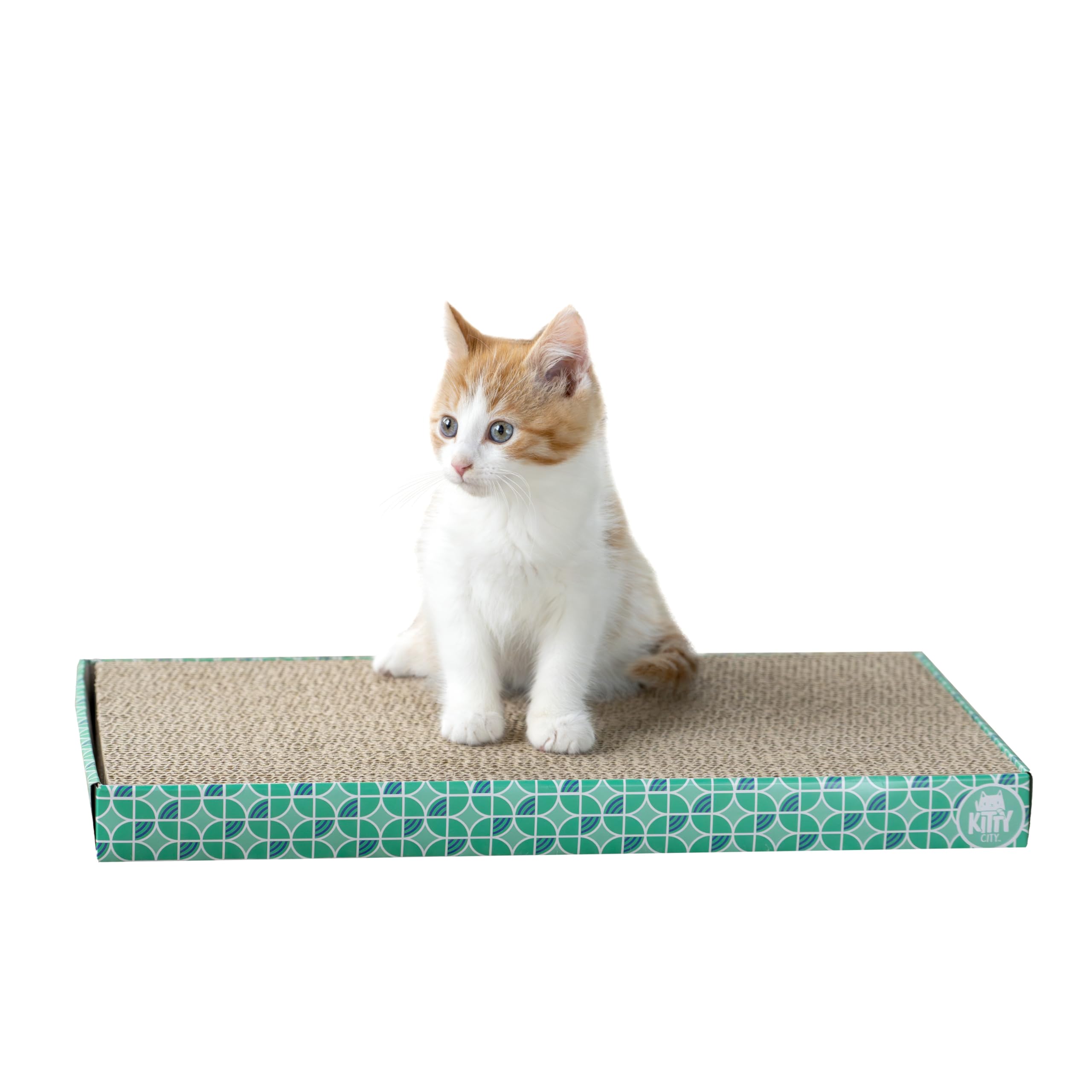 Réapprovisionnement double-face Kitty City prolonge la durée d’utilisation.