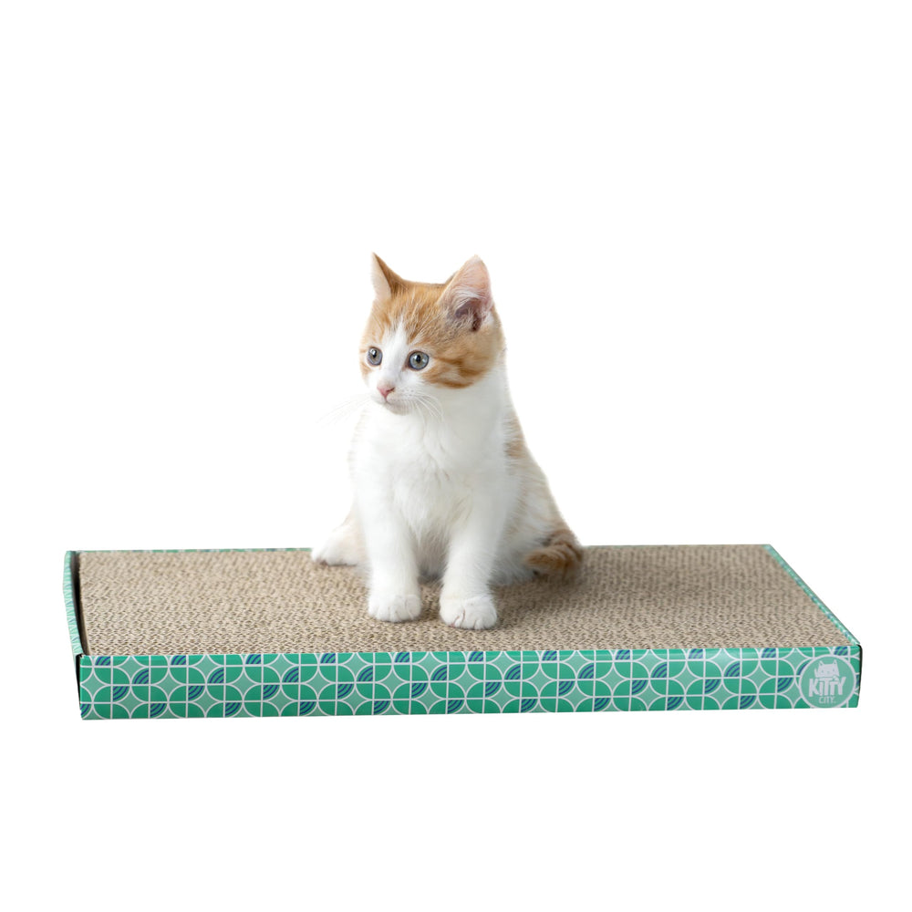 Réapprovisionnement double-face Kitty City prolonge la durée d’utilisation.