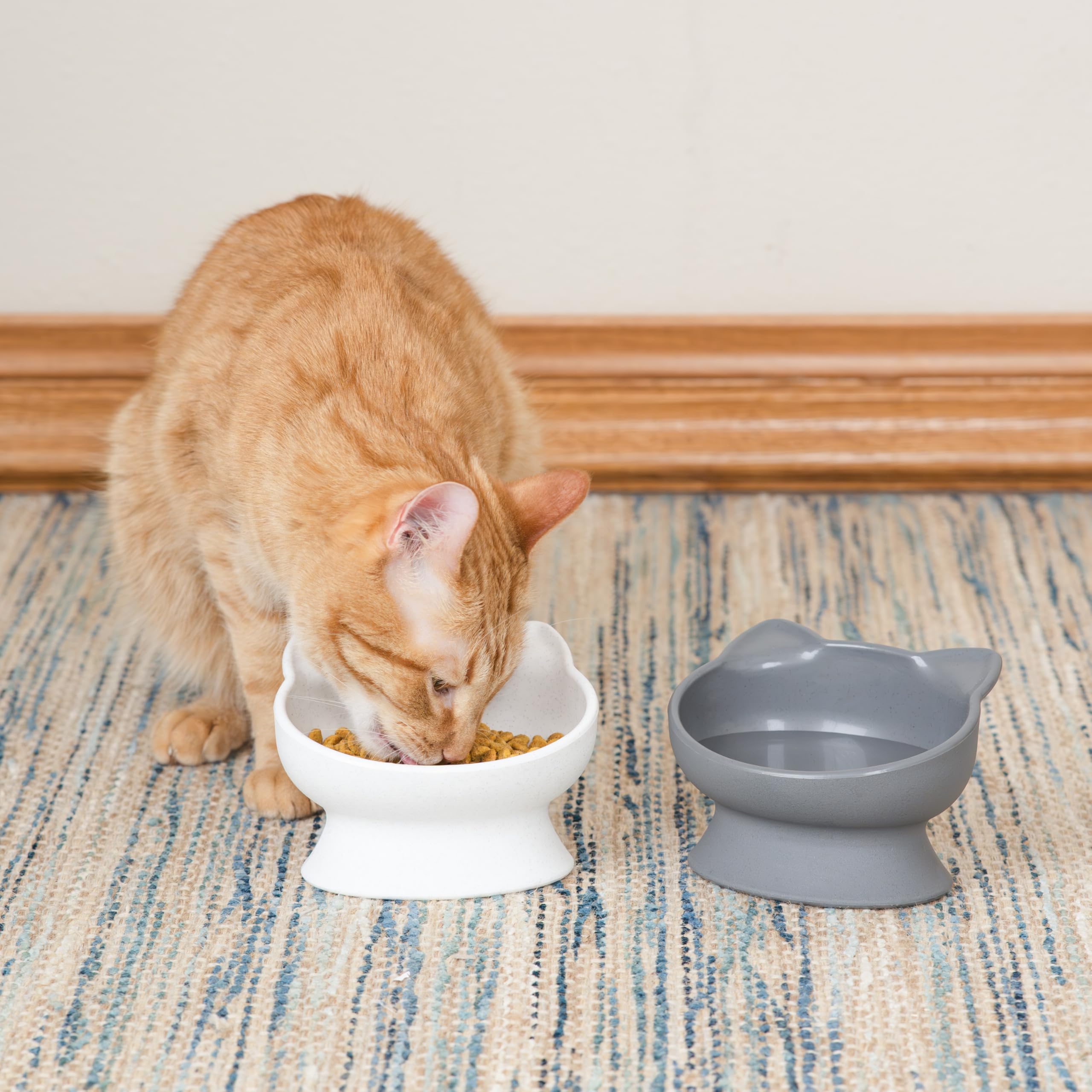 Kitty City, support surélevé favorisant une posture naturelle lors du repas.