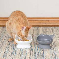 Kitty City, support surélevé favorisant une posture naturelle lors du repas.