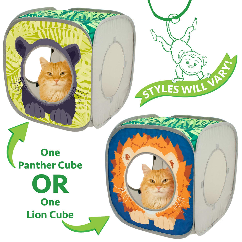 Kitty City Safari Jungle, design tigre safari ludique.
