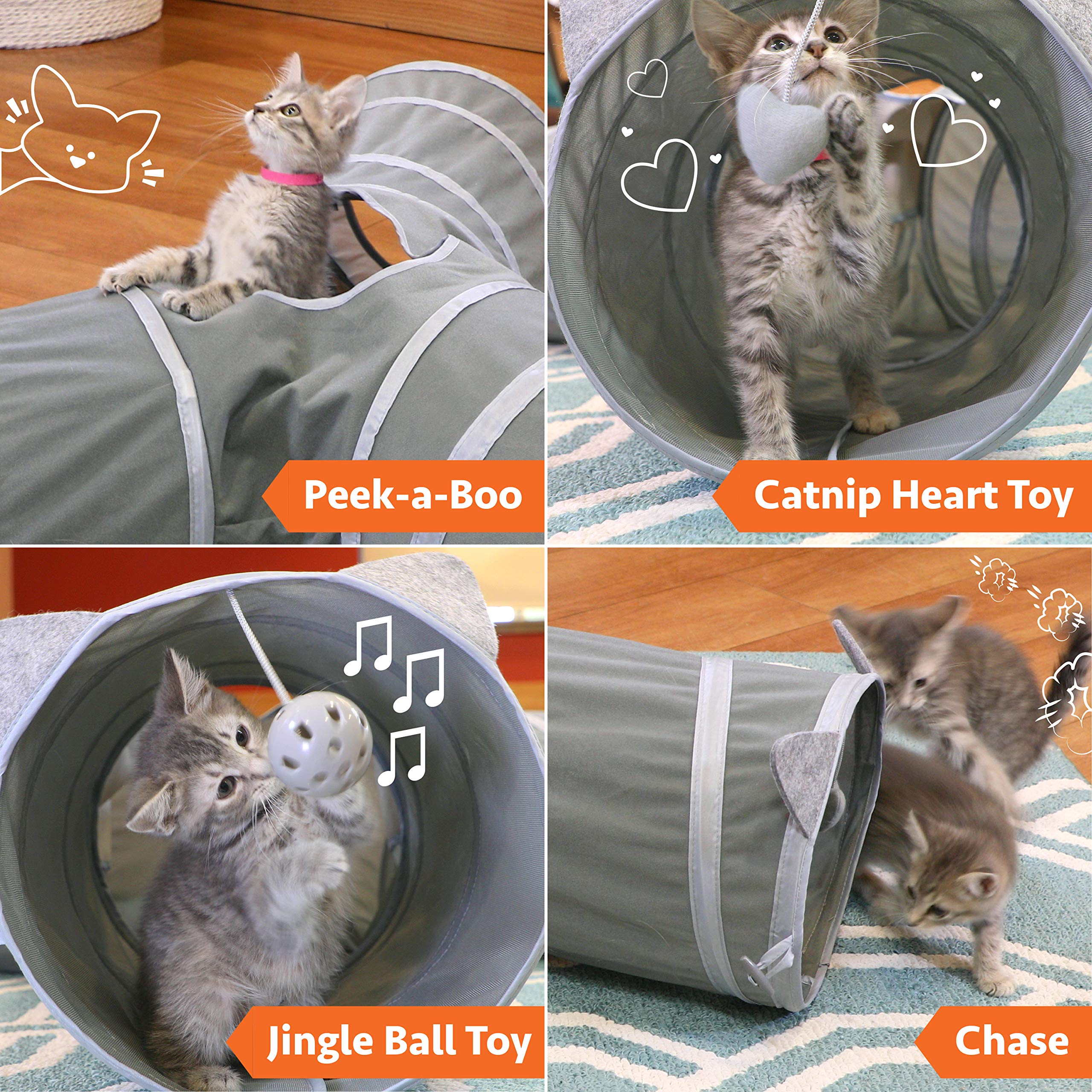 Kitty City Tunnel: chat dans le tunnel, stimulation et exploration.