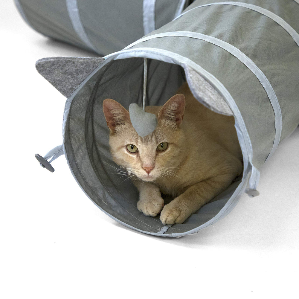 Kitty City Tunnel: zone de repos sécurisée pour se détendre.