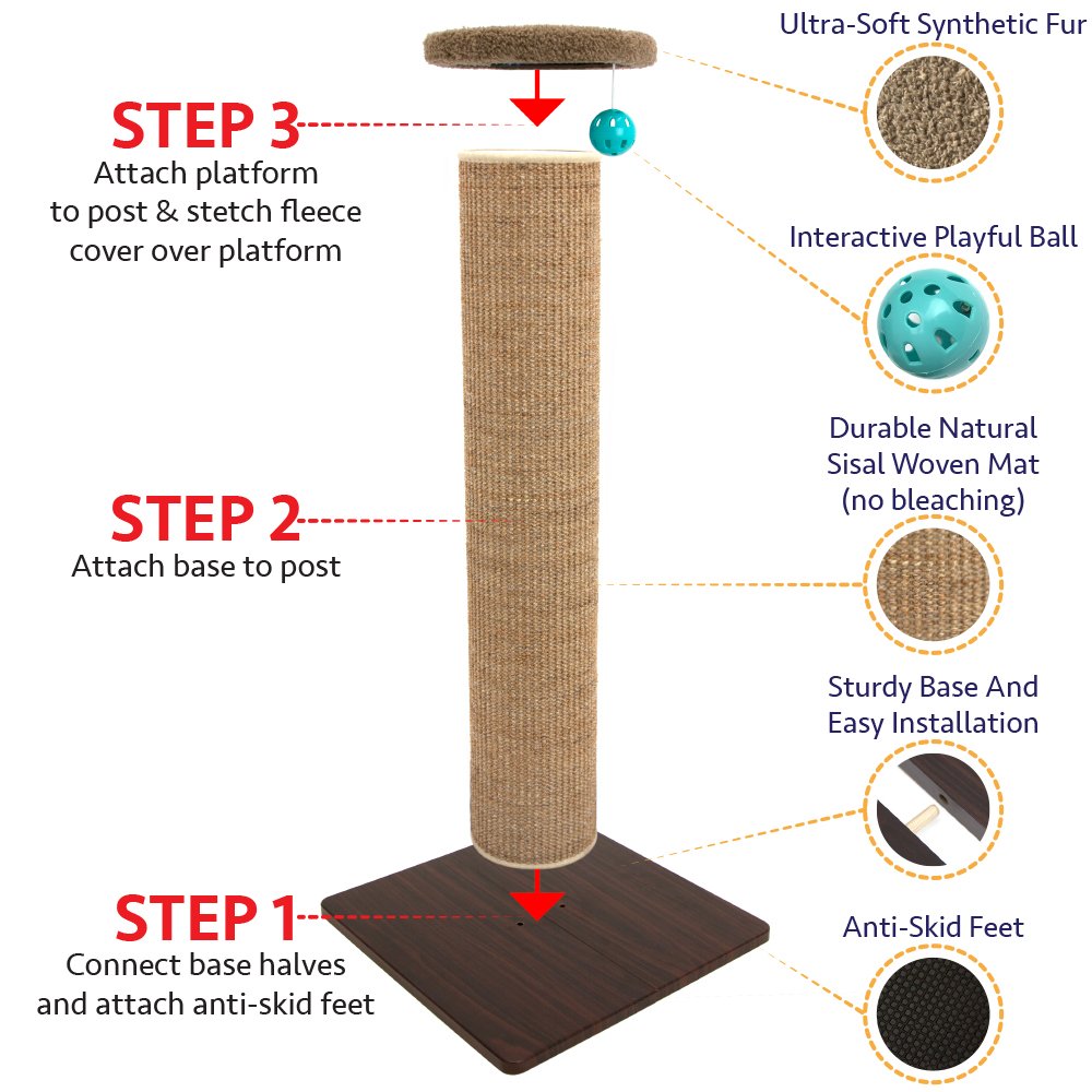 Kitty City solution durable pour chats actifs et multi-chats.