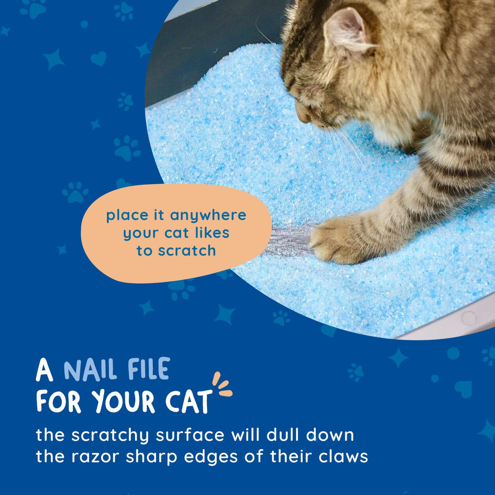 Kitty Cure grattoir en oxyde d’aluminium – finition robuste et durable.