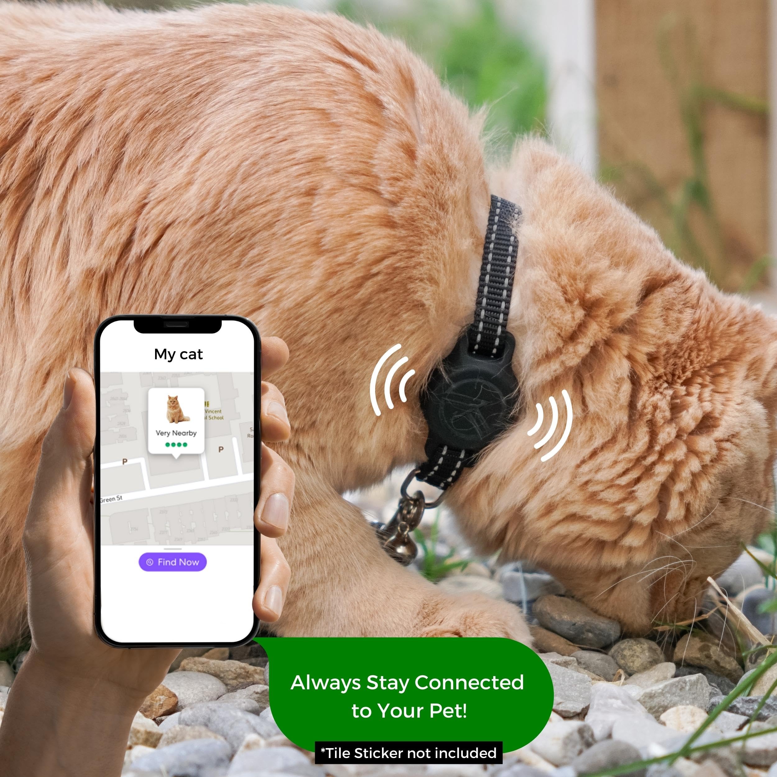 Kitty Kompass étui Tile Sticker chat profil mince et discret