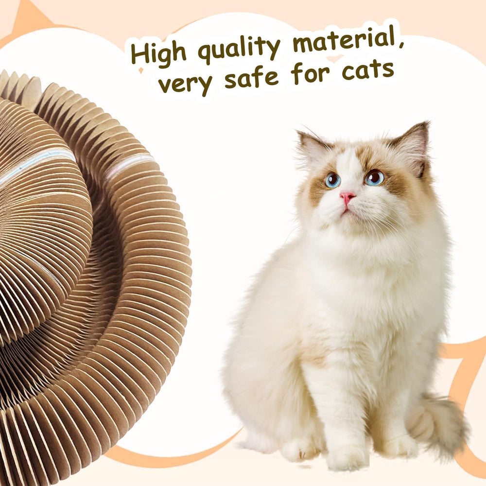 Kitty Kurlz: design pliant et portable idéal pour les petits espaces.