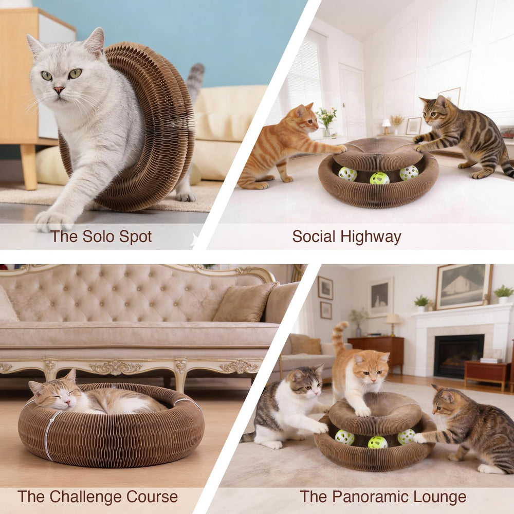 Kitty Kurlz: griffoir rond et surface résistante pour griffage sans souci.