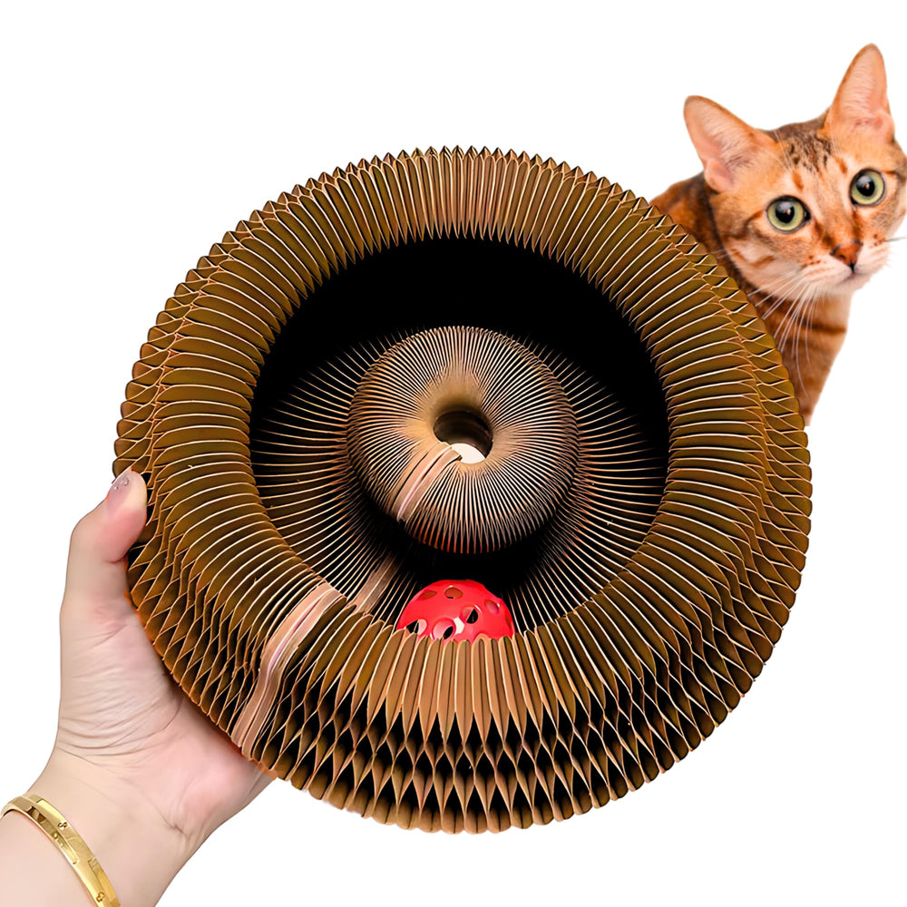 Kitty Kurlz – jouet magnétique, stimulation physique et curiosité du chat.