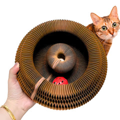 Kitty Kurlz – jouet magnétique, stimulation physique et curiosité du chat.