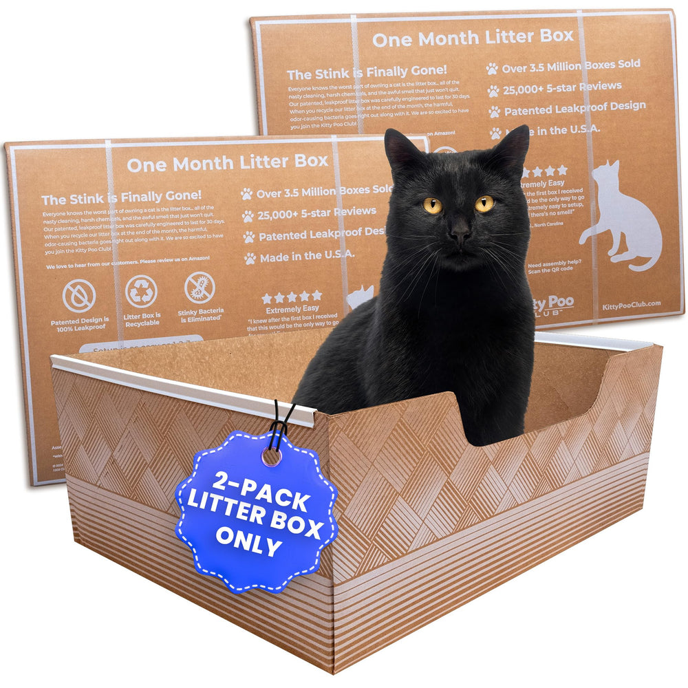 Boîte litière jetable étanche Kitty Poo Club, gestion propre et sans fuite.