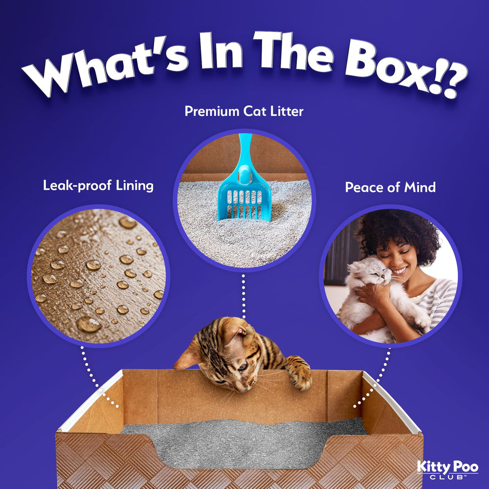 Kitty Poo Club litiere a grains fins six livres: absorption efficace et pratique