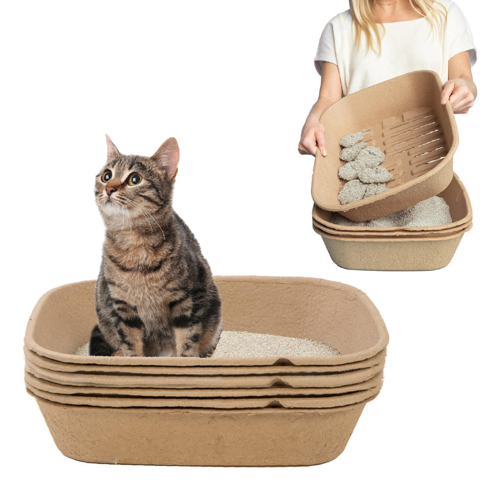 Kitty Sift base robuste prêt pour démarrage et nettoyage rapide.