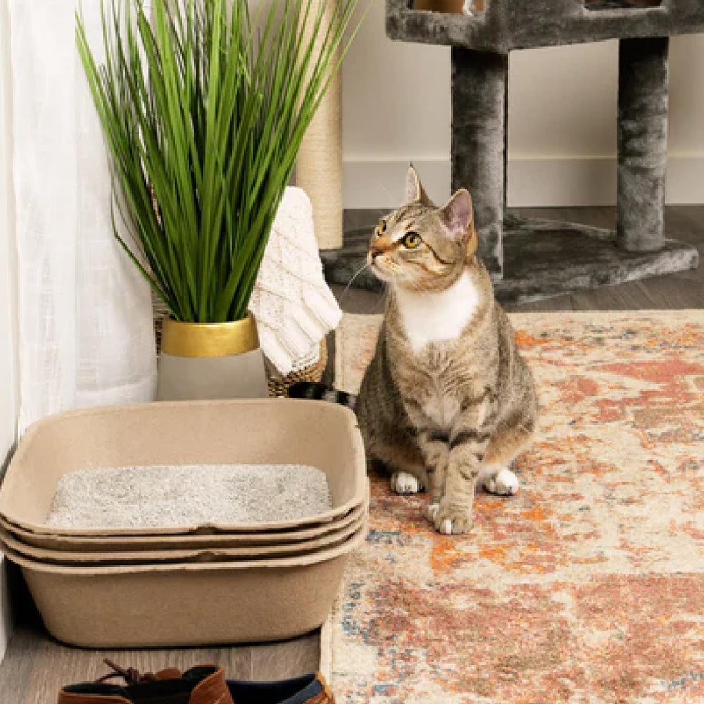 Kitty Sift matériaux éco-responsables: construction recyclable pour limiter le plastique.
