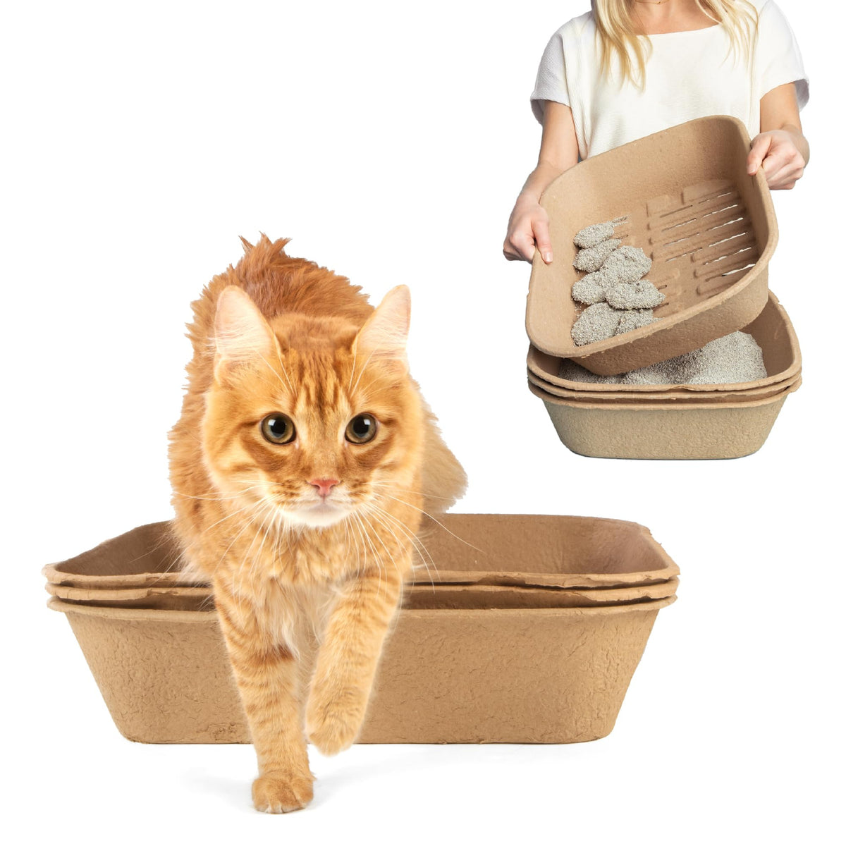 Kitty Sift ensemble: deux litières jumbo pour nettoyage rapide et pratique.