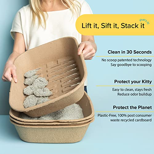 Utilisation multi-animaux Kitty Sift: une solution pour plusieurs félins.