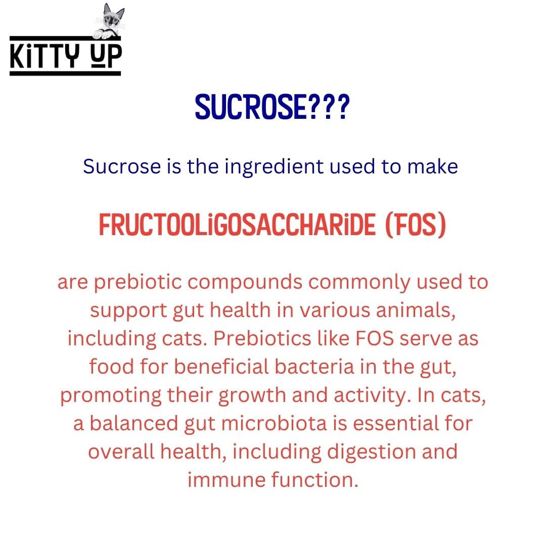 Kitty Up purée poulet chat en tube, accessoire pratique pour régimes spéciaux et seniors.