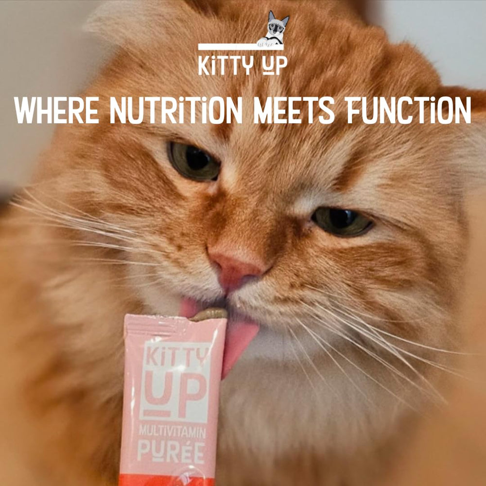 Utilisable comme topping ou mélange médicament pour chats.