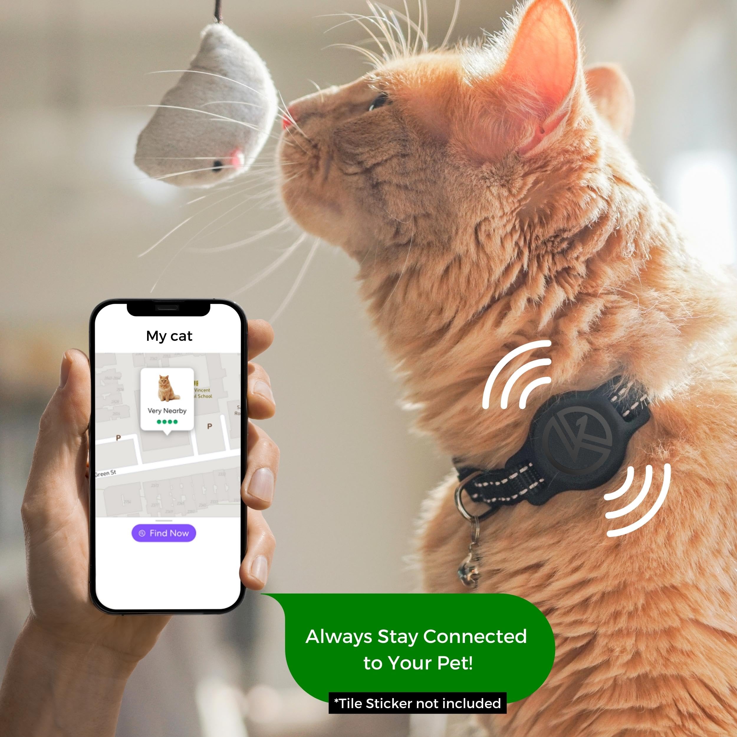 Design fin Kitty Kompass pour chats favorisant le confort et la liberté de mouvement.