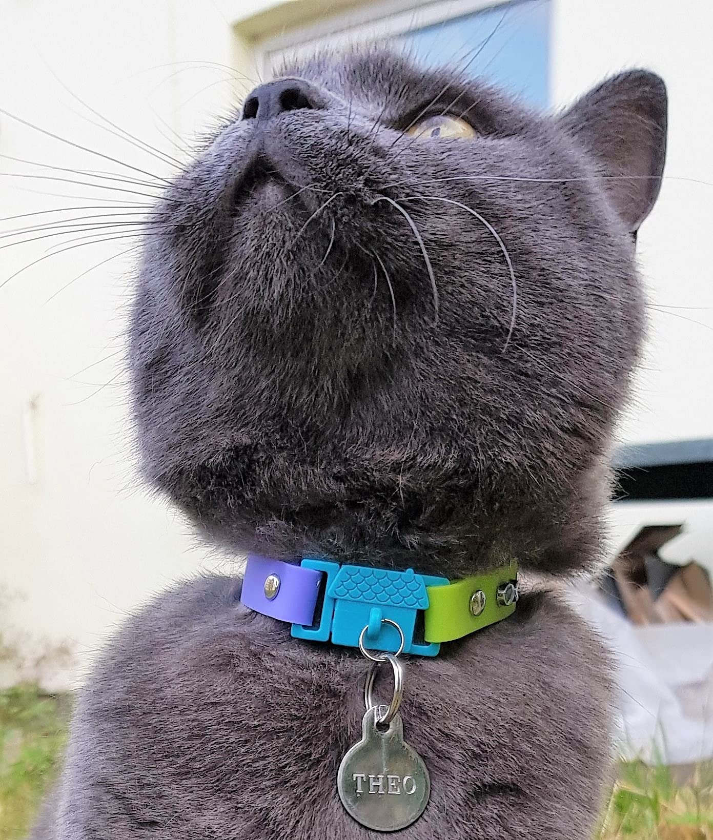 Bande en silicone douce Kittyrama, légère et confortable.