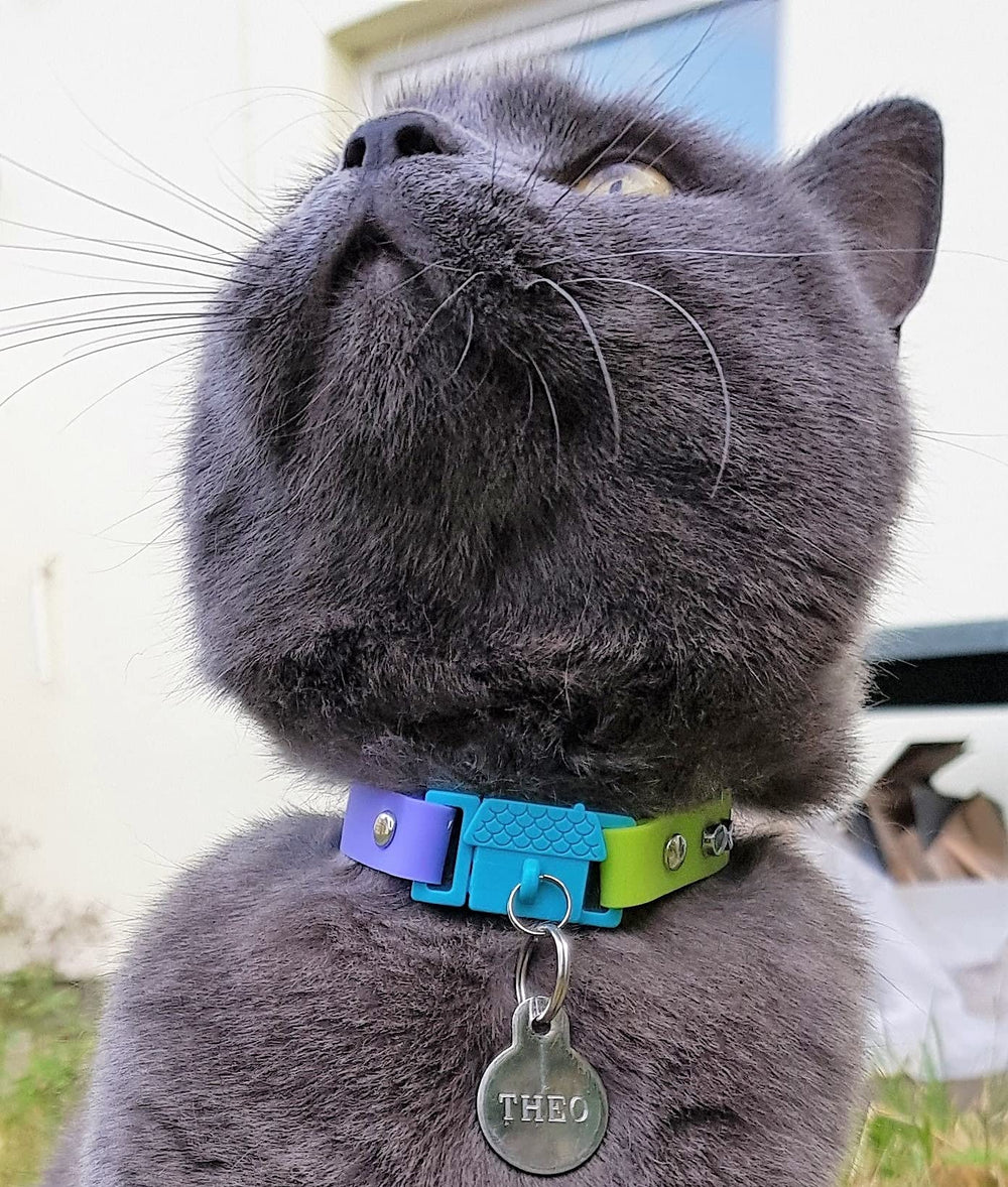 Bande en silicone douce Kittyrama, légère et confortable.