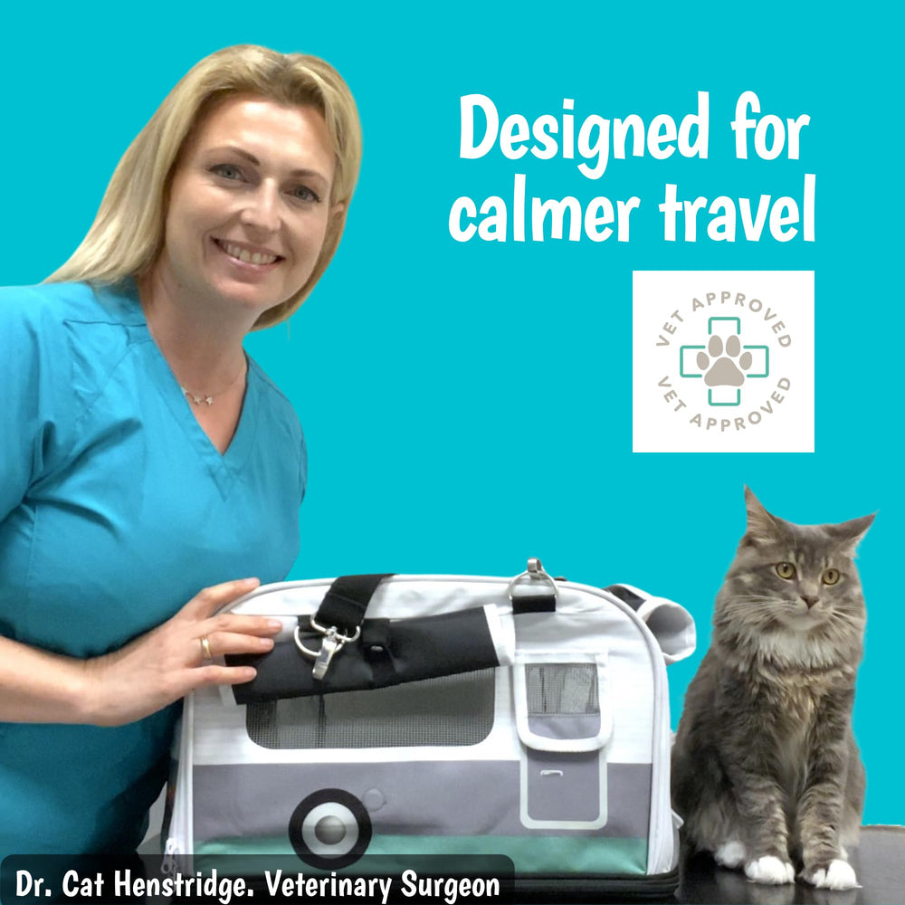 Kittyrama capacité 22 lb, adapté pour grands félins comme Sibériens et Ragdolls.
