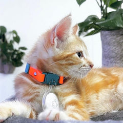 Collier Kittyrama Tangerine résistant à l eau prêt pour les jeux