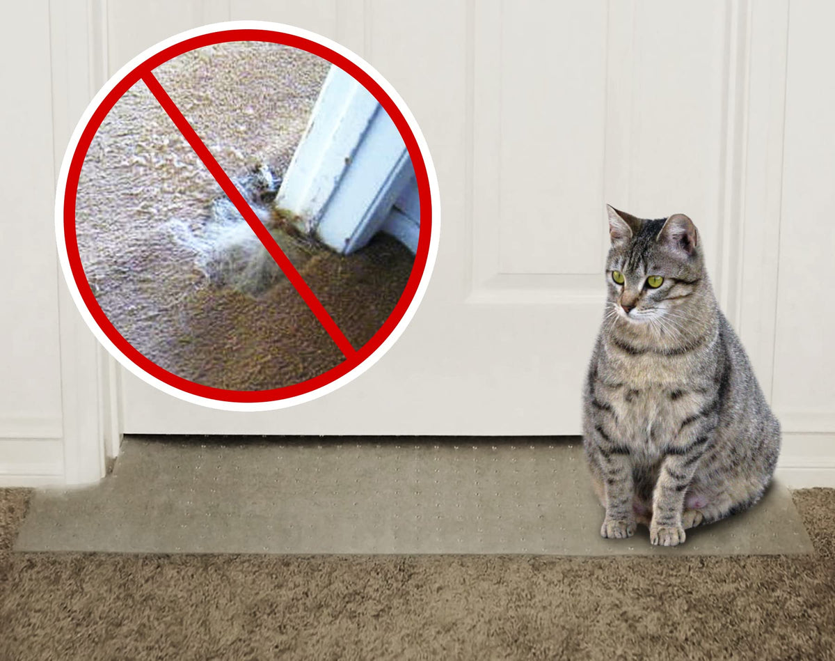 KittySmart arrêteur-griffures-moquette installé dans une porte protège les tapis.