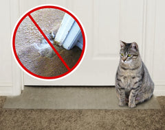 KittySmart Barrière anti-griffures pour tapis près des portes, protégeant le passage des chats.