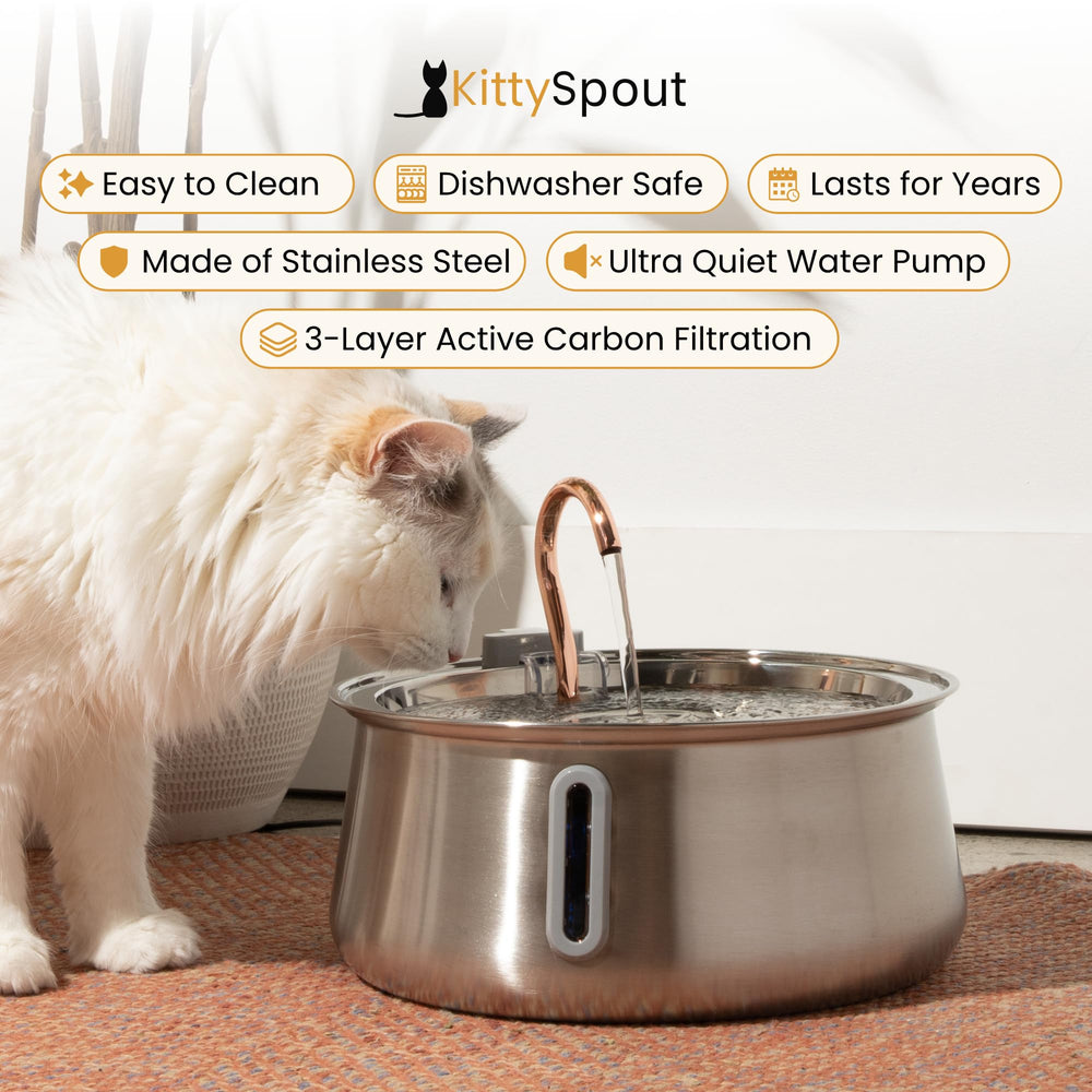 KittySpout acier inox 304 durable et hygiénique
