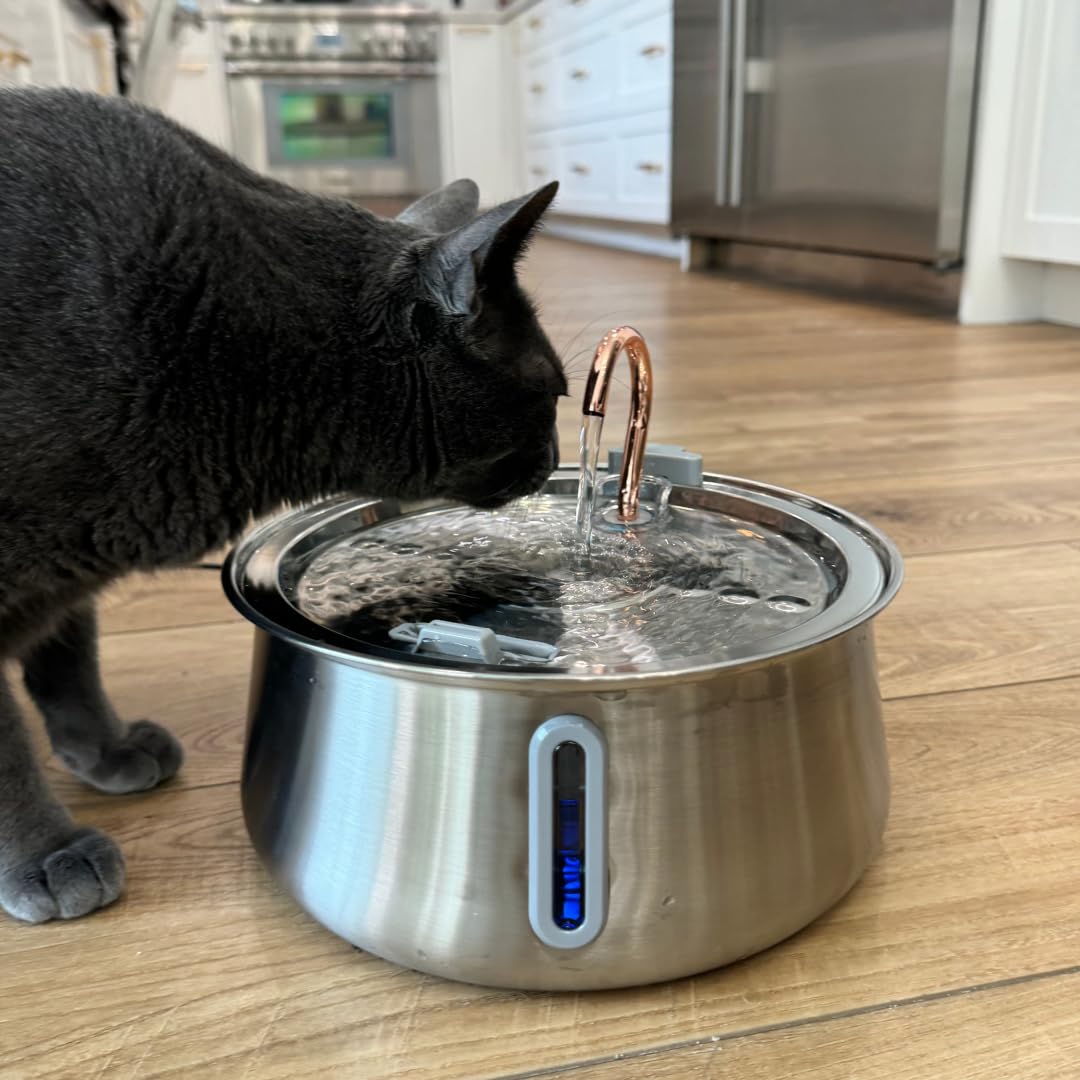 KittySpout nettoyage inox hygiène, entretien facilité.