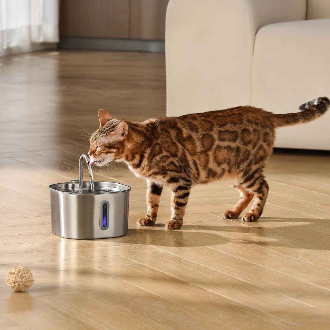 KittySpout plateau supérieur compatible lave-vaisselle pour entretien pratique.