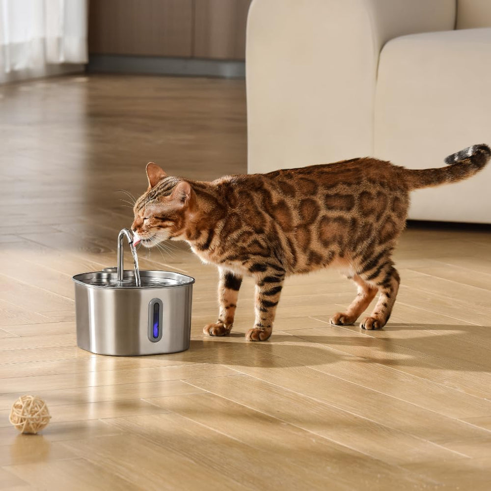 KittySpout plateau supérieur compatible lave-vaisselle pour entretien pratique.