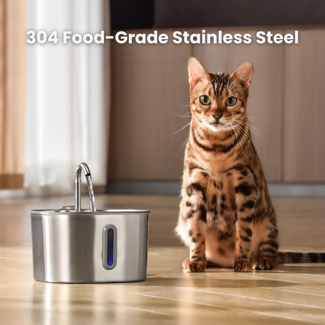 KittySpout pompe silencieuse de 1,5 W pour un flux calme.