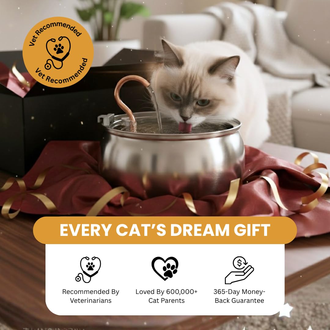 KittySpout pompe silencieuse assure débit constant et discret
