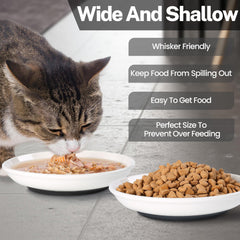Kitwinney bol chat capacite 10 oz ideal pour croquettes et repas.