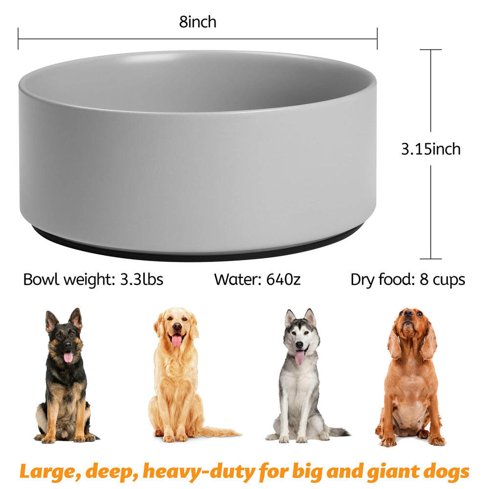 Kitwinney bol grande capacité 64 oz, idéal pour chiens moyens et grands
