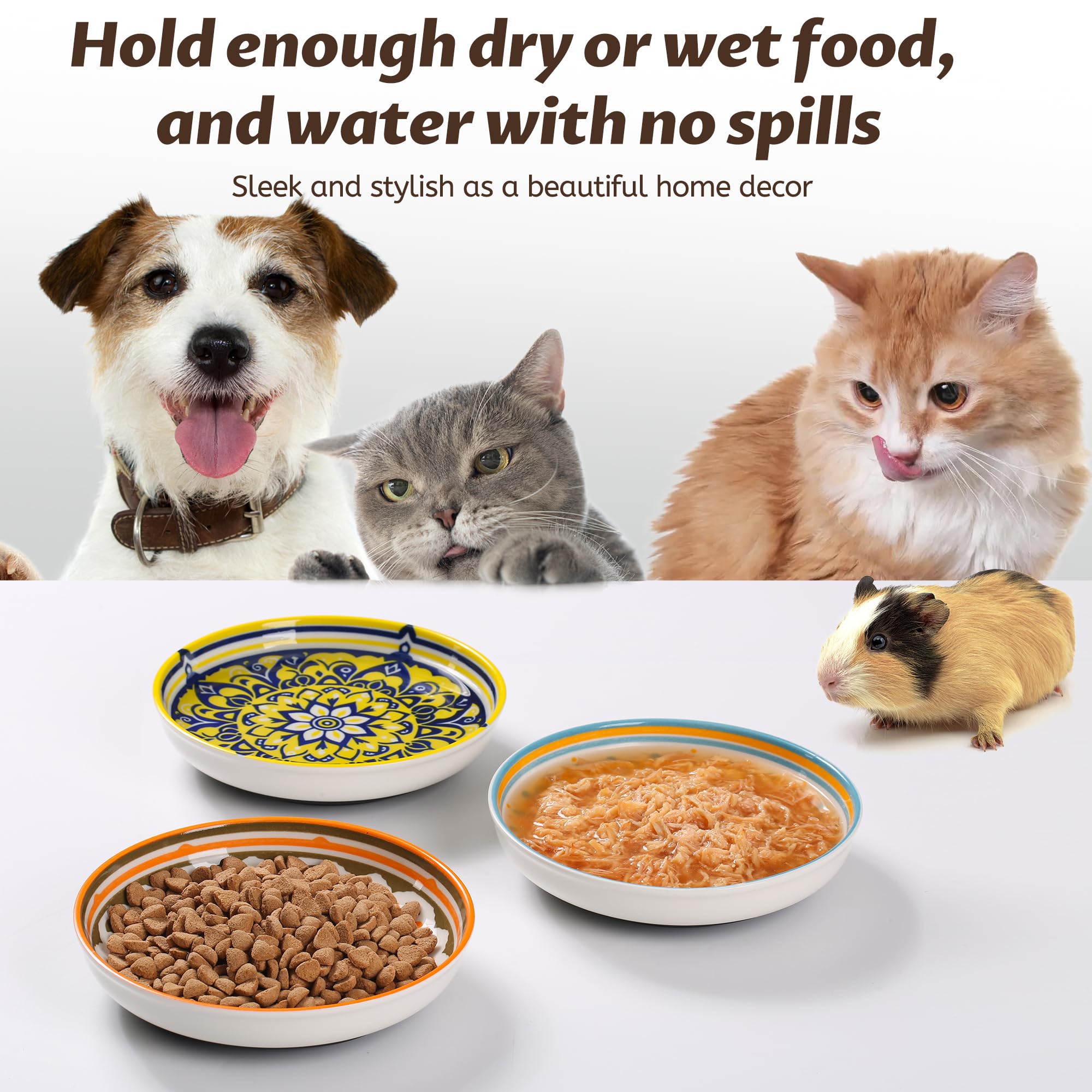 Kitwinney bol polyvalent pour nourriture, eau et friandises des petits animaux.