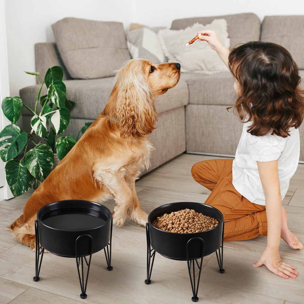Kitwinney bols chien usage quotidien, sécurité et confort