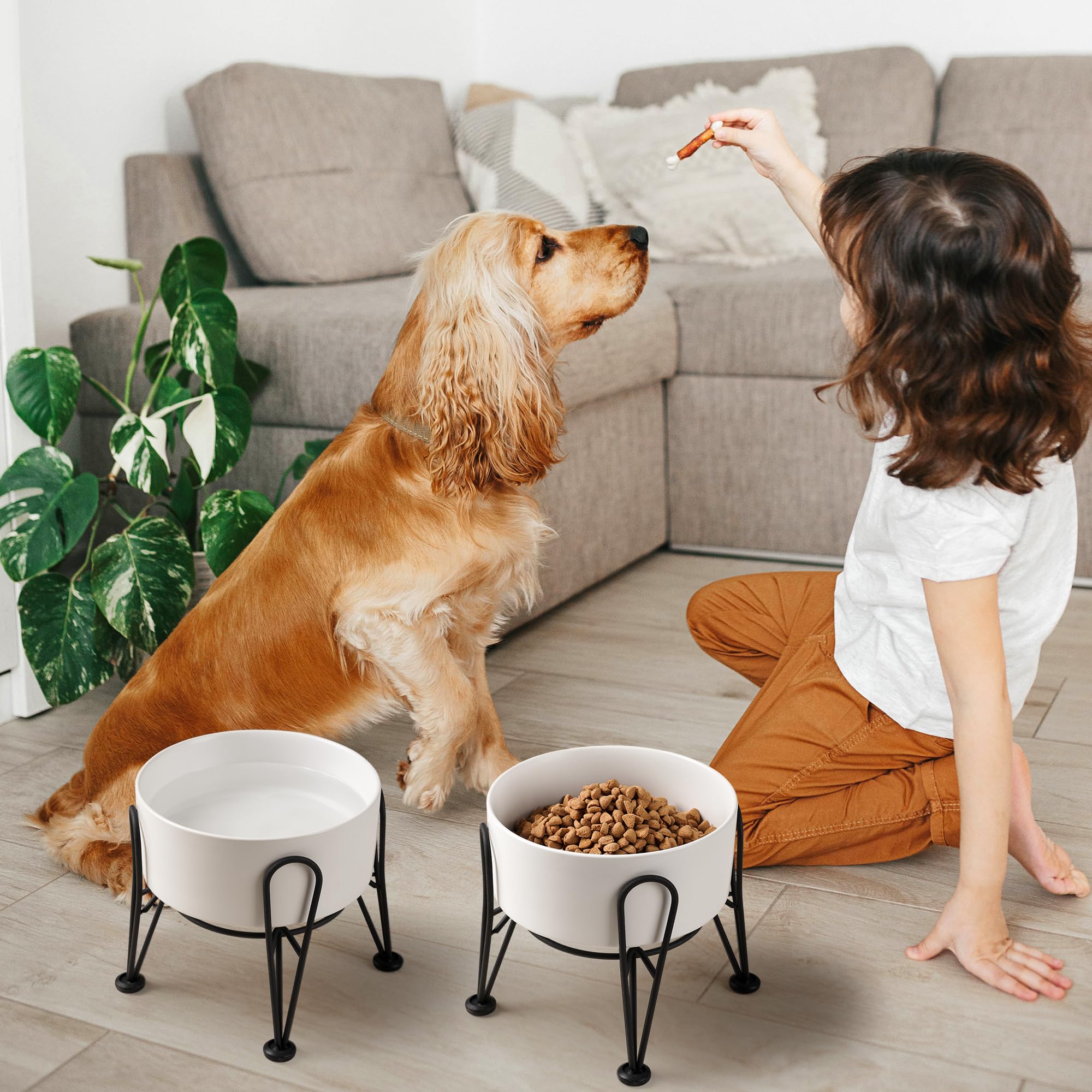 Kitwinney ensemble quotidien pour chien moyen