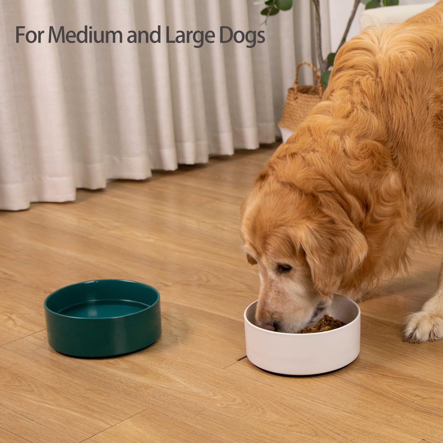 Kitwinney gamelle-chien-nettoyage-simple — céramique sans plomb et nettoyage pratique.