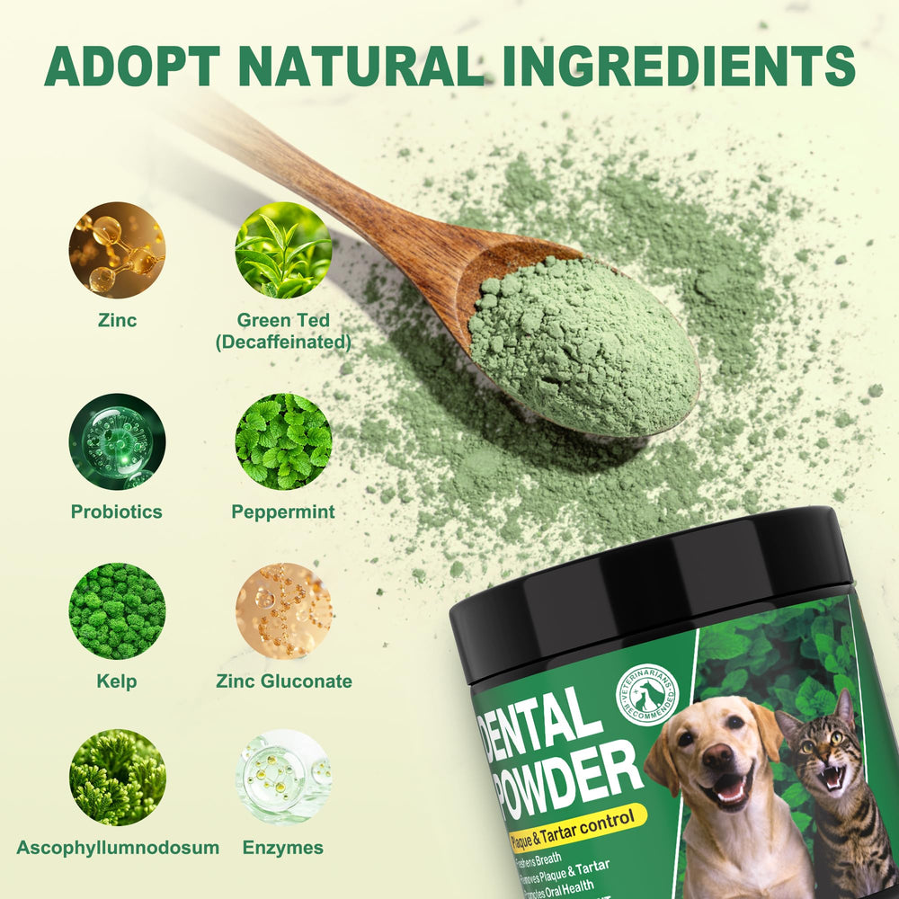 Saveur menthe et thé vert: fraîcheur durable pour votre chien.