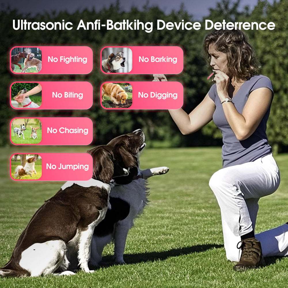 Utilisation extérieure du sifflet KIVORA lors de promenades