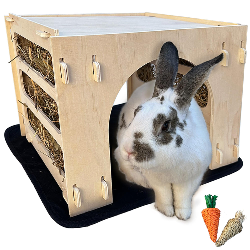 Kiwi et Mora Maison-lapin intérieur complet pour repos et jeux.