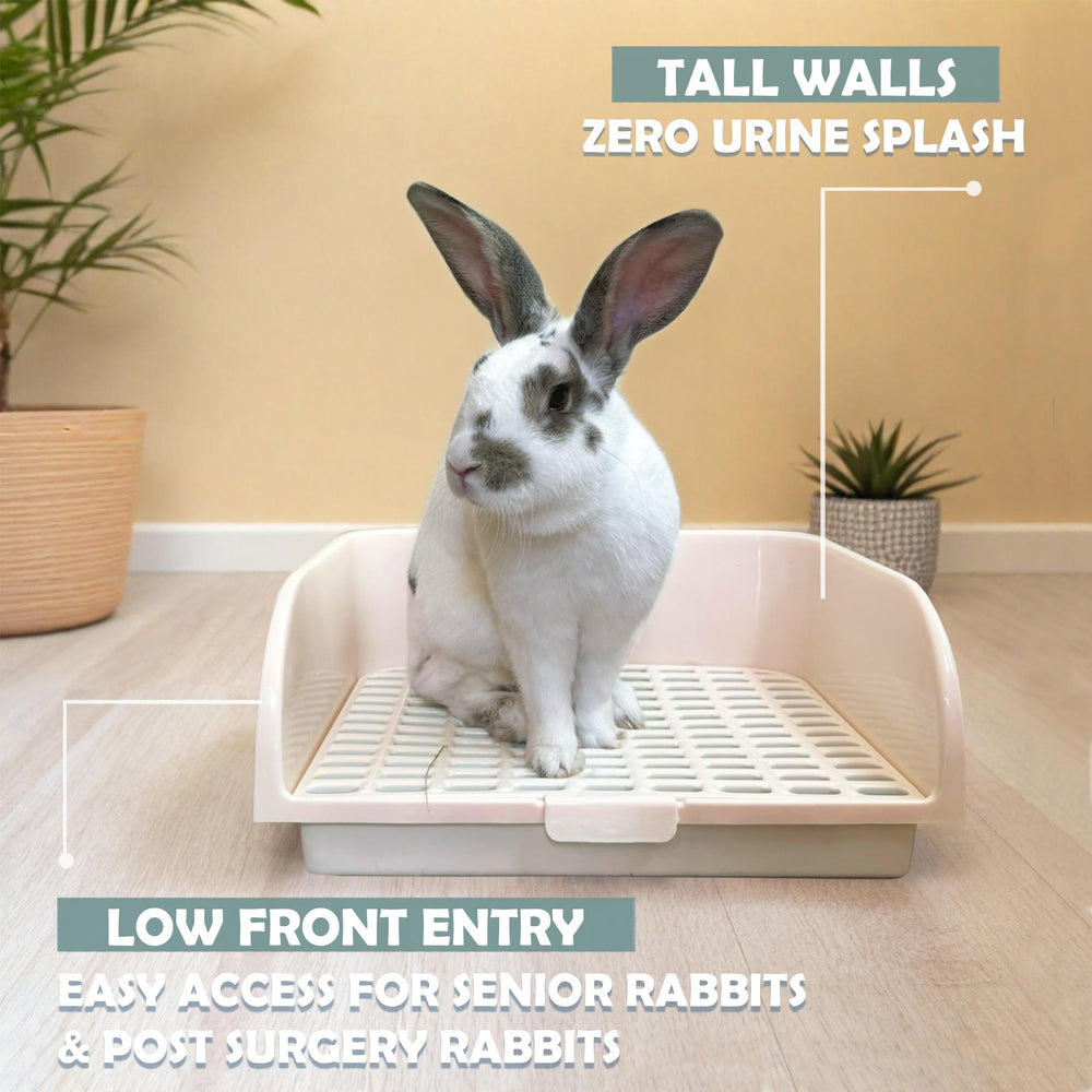 Kiwi & Mora Litière Lapin Antiodeurs – aide à maintenir l intérieur frais.