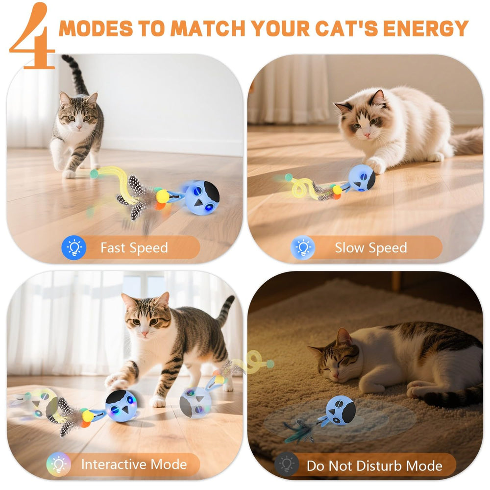 KiwiLove activation par claquement, facilite la reprise du jeu pour votre chat.
