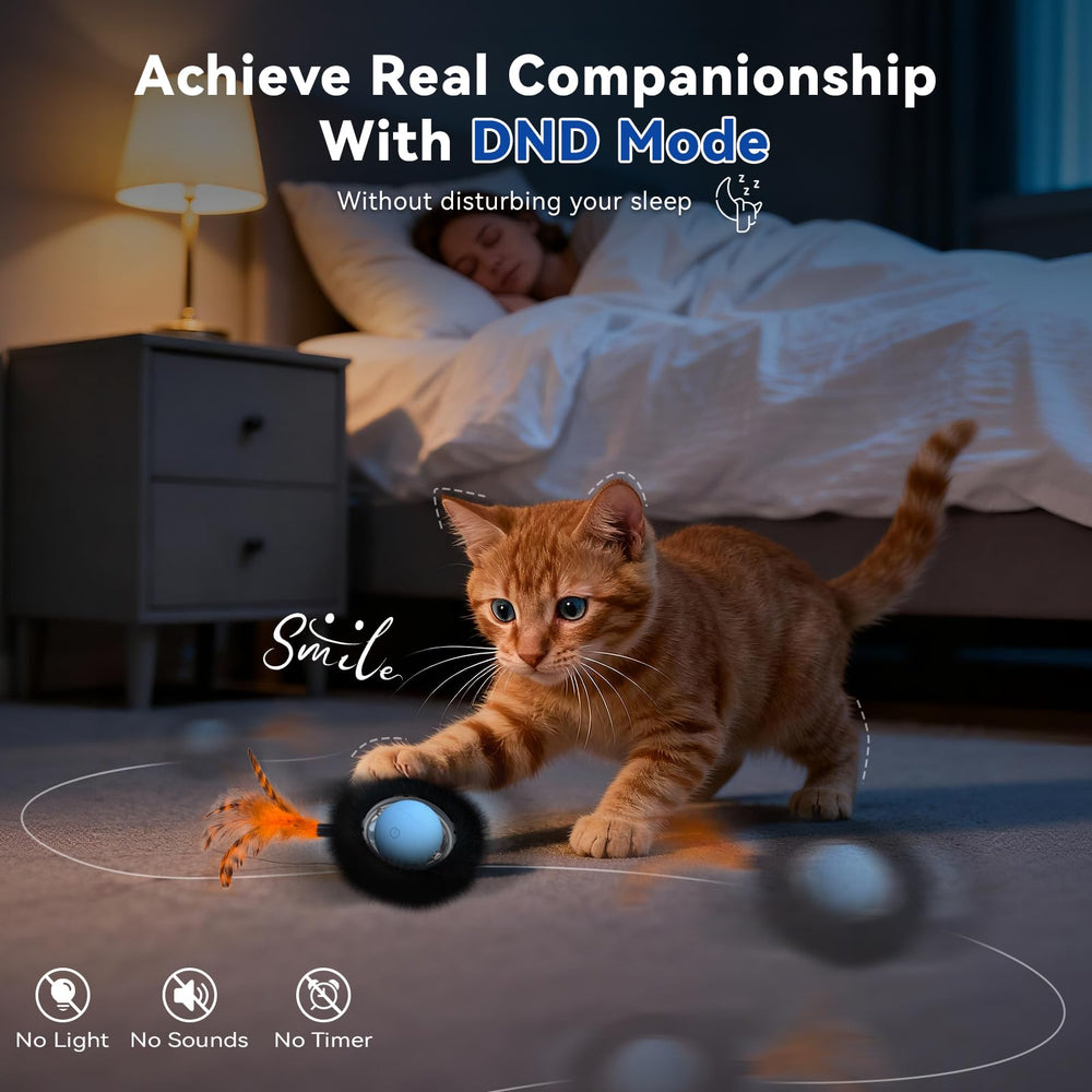 KiwiLove Quatre sons attrayants stimulent l'intérêt et la chasse.
