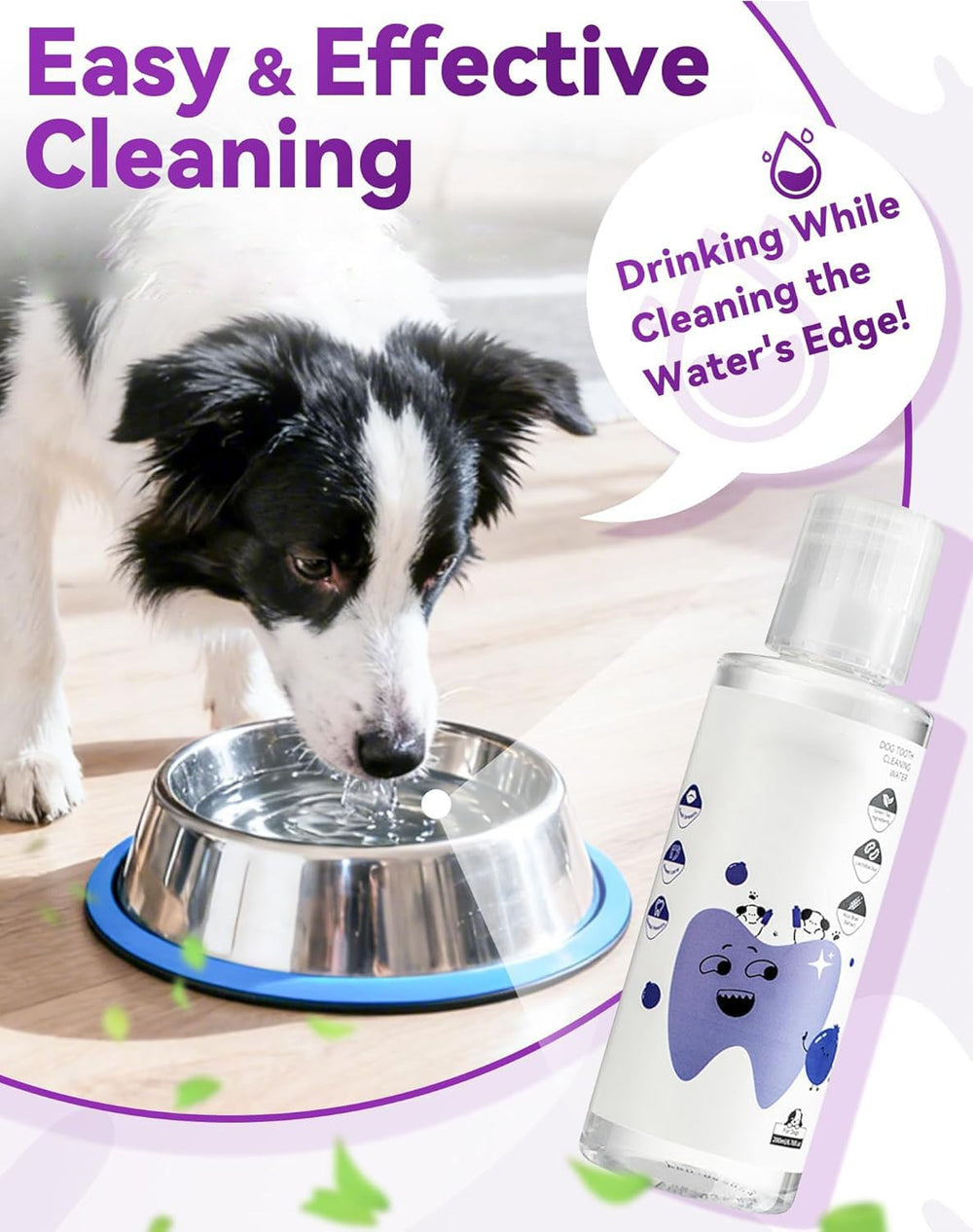 KKINYAS Additif eau dentaire dans l'eau, routine quotidienne facile pour chiens.